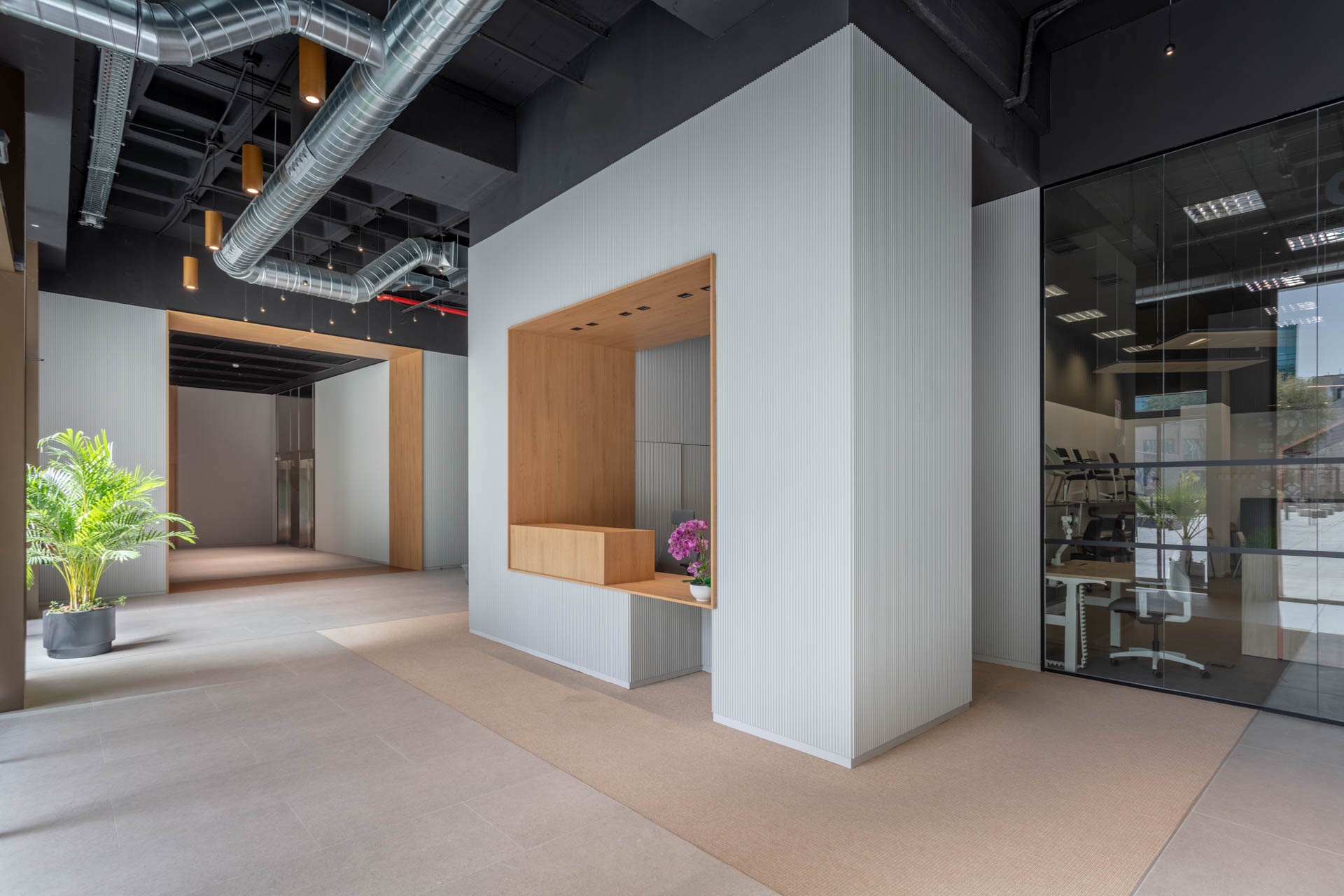 Axis Architecture - Julian Camarillo x Luzestudio (33)