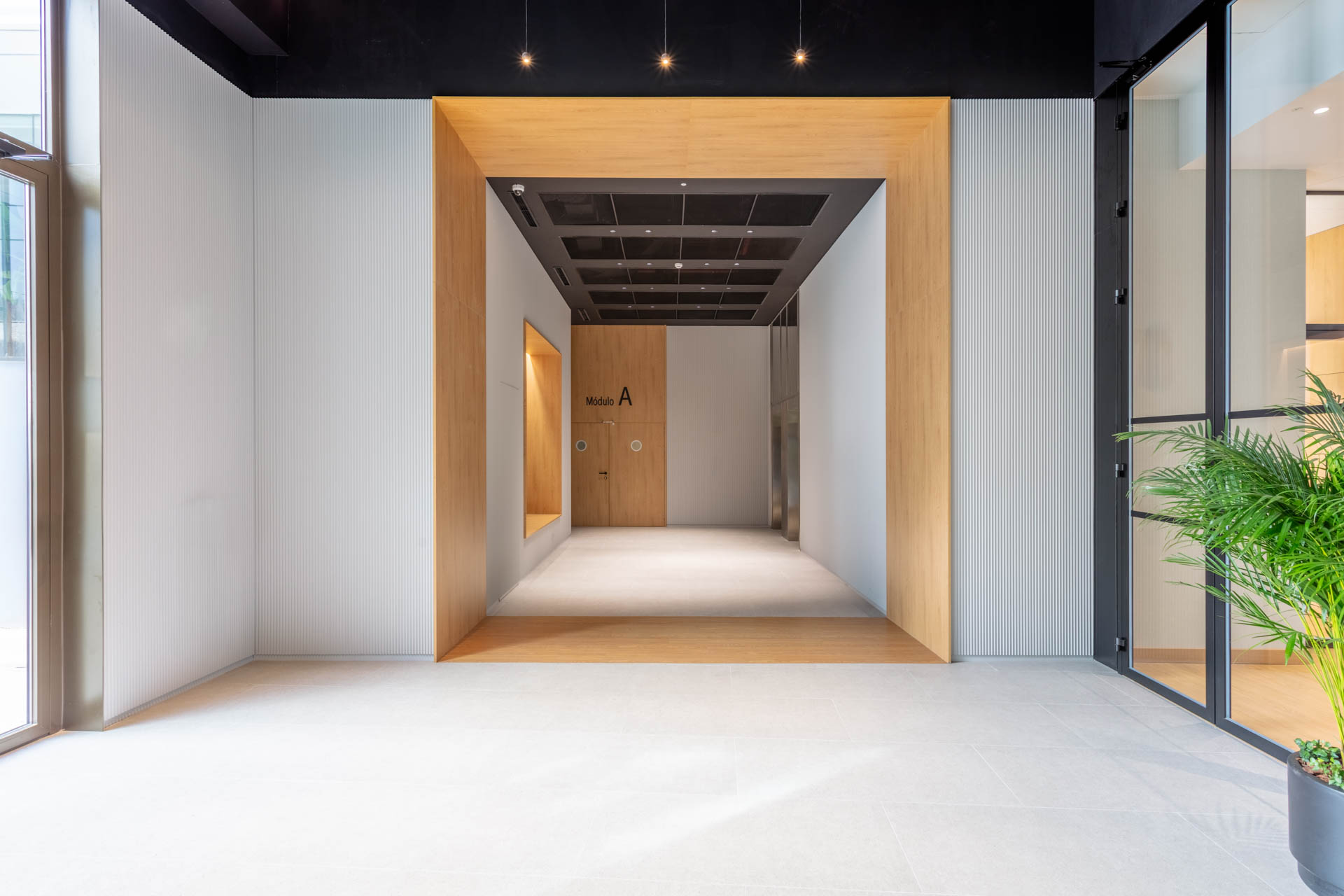 Axis Architecture - Julian Camarillo x Luzestudio (5)