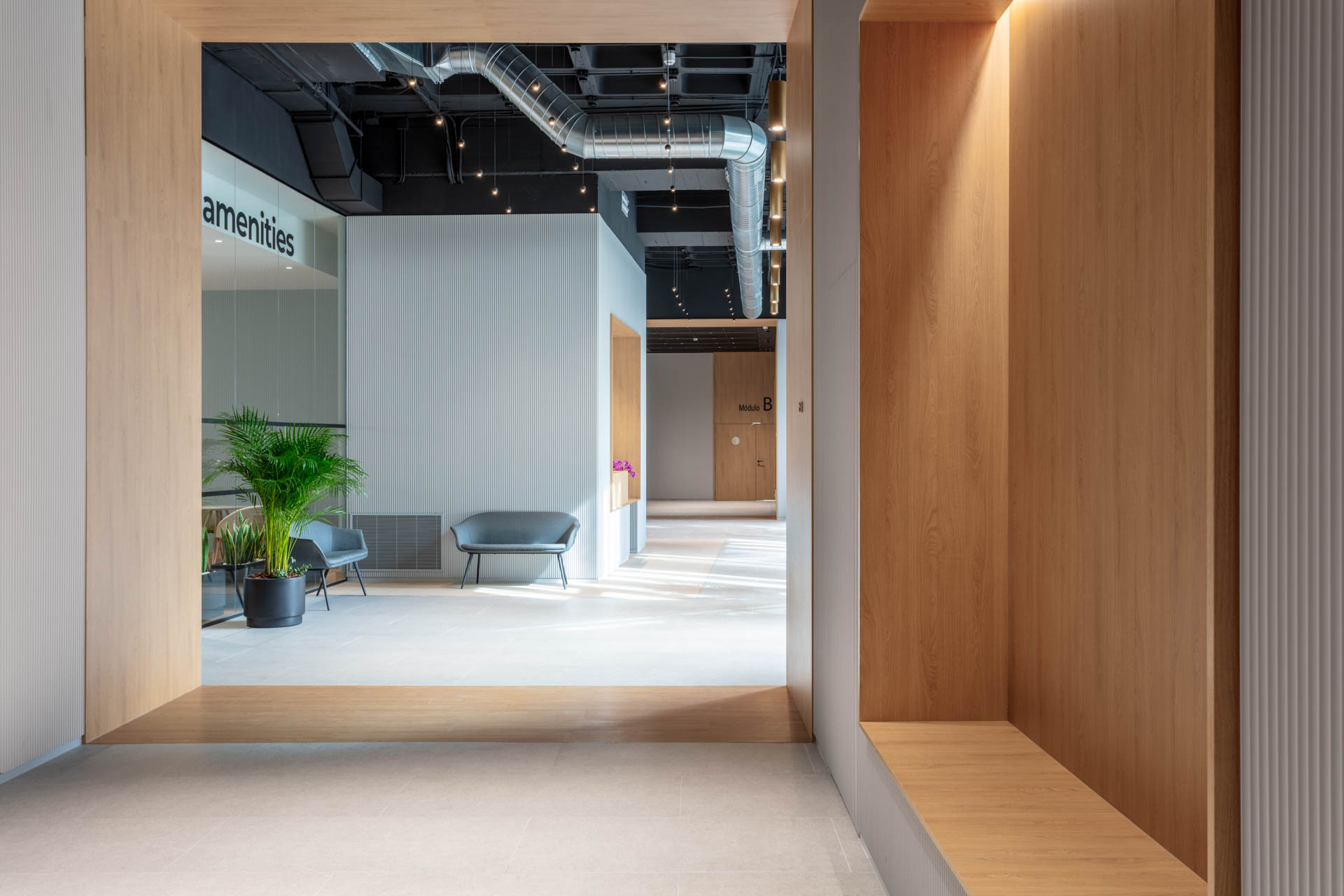 Axis Architecture - Julian Camarillo x Luzestudio (6)